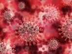 Bengaluru recorded a Covid death where a 84-year-old man died after testing positive for the virus. Bengaluru recorded a Covid death where a 84-year-old man died after testing positive for the virus.