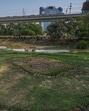 A park in the city. (RAJ K RAJ /HT PHOTO)