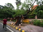 New Delhi: A pedestrian passes by an uprooted tree after strong winds and rainfall, in New Delhi, Sunday, May 25, 2025. (PTI Photo/Kamal Singh)(PTI05_25_2025_000020A) New Delhi: A pedestrian passes by an uprooted tree after strong winds and rainfall, in New Delhi, Sunday, May 25, 2025. (PTI Photo/Kamal Singh)(PTI05_25_2025_000020A)