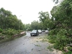 Trees were uprooted in several areas in Delhi and the surrounding areas due to rain and strong winds. Trees were uprooted in several areas in Delhi and the surrounding areas due to rain and strong winds.