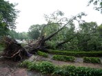Trees uprooted after strong winds and rainfall, in New Delhi, Sunday, May 25. Trees uprooted after strong winds and rainfall, in New Delhi, Sunday, May 25.