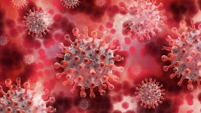 Bengaluru recorded a Covid death where a 84-year-old man died after testing positive for the virus. (Pixabay) Bengaluru recorded a Covid death where a 84-year-old man died after testing positive for the virus. (Pixabay)