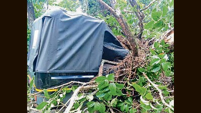 A 36-year-old auto-rickshaw driver was crushed when a tree fell directly on his vehicle Koppa. (HT Photo)