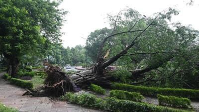 A fallen tree on Motilal Nehru Marg in New Delhi on Sunday. (Arvind Yadav/HT Photo) A fallen tree on Motilal Nehru Marg in New Delhi on Sunday. (Arvind Yadav/HT Photo)