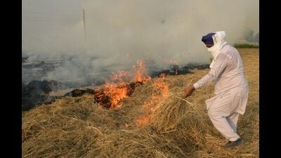 A farmer burns straw stubble in a paddy field on the outskirts of Amritsar. (AFP File) A farmer burns straw stubble in a paddy field on the outskirts of Amritsar. (AFP File)