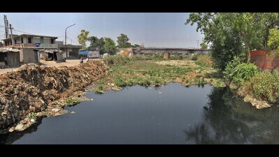 Activists said the mill site lies just 10 metres from Buddha Nullah violating an environmental law. (HT File) Activists said the mill site lies just 10 metres from Buddha Nullah violating an environmental law. (HT File)