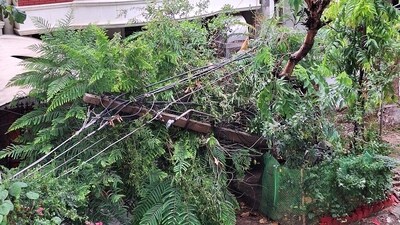 An electricity pole in Gurgaon fell down after a night of heavy rain and strong winds (X/kapilcheetahh) An electricity pole in Gurgaon fell down after a night of heavy rain and strong winds (X/kapilcheetahh)
