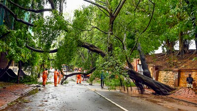 The southwest monsoon reached Kerala on Saturday, bringing heavy overnight rain that continued into Sunday morning across parts of the state. (PTI) The southwest monsoon reached Kerala on Saturday, bringing heavy overnight rain that continued into Sunday morning across parts of the state. (PTI)