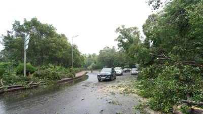 Trees were uprooted in several areas in Delhi and the surrounding areas due to rain and strong winds. (PTI) Trees were uprooted in several areas in Delhi and the surrounding areas due to rain and strong winds. (PTI)