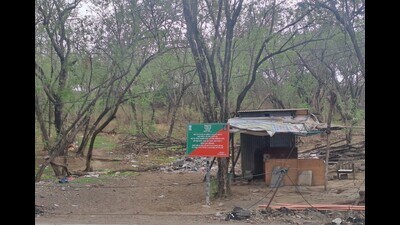 The SC also declared as void all subsequent transactions and developments on this land, citing a clear violation of the Forest (Conservation) Act, 1980. (HT) The SC also declared as void all subsequent transactions and developments on this land, citing a clear violation of the Forest (Conservation) Act, 1980. (HT)