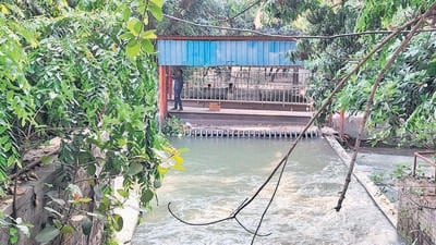 These are the only set of filtration nets on the 102-km-long Munak Canal. (HT photo) These are the only set of filtration nets on the 102-km-long Munak Canal. (HT photo)