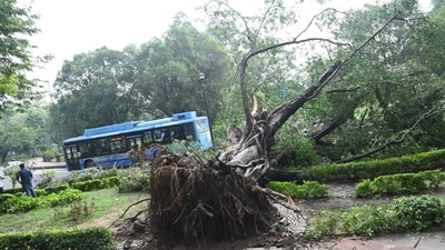 A tree uprooted at Moti Lal nehru marg in Delhi after severe rainfall and thunderstorm on Sunday. (Arvind Yadav/HT) A tree uprooted at Moti Lal nehru marg in Delhi after severe rainfall and thunderstorm on Sunday. (Arvind Yadav/HT)