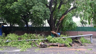 Heavy rainfall led to an electric pole falling down at Pandara road in New Delhi on Sunday. (Arvind Yadav/HT) Heavy rainfall led to an electric pole falling down at Pandara road in New Delhi on Sunday. (Arvind Yadav/HT)