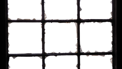 Four persons, including a woman, have been arrested, though the main accused is still at large (Pixabay/Representative)