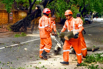 Overnight heavy rains and strong winds across Kerala led to uprooting of trees, dislodging of electricity poles and waterlogging of roads in several parts of the state on Saturday. (PTI) Overnight heavy rains and strong winds across Kerala led to uprooting of trees, dislodging of electricity poles and waterlogging of roads in several parts of the state on Saturday. (PTI)