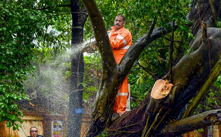 Heavy rain dislodged electricity poles, waterlogging was reported in various parts across Kerala (PTI) Heavy rain dislodged electricity poles, waterlogging was reported in various parts across Kerala (PTI)