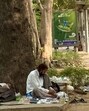 In a furiously changing city, the extraordinariness of the scene lies in the fact that it has remained unchanged for years. (HT)