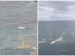 The Indian Coast Guard (ICG) released aerial visuals of the site, showing numerous containers and a visible spill spread across the water. The Indian Coast Guard (ICG) released aerial visuals of the site, showing numerous containers and a visible spill spread across the water.