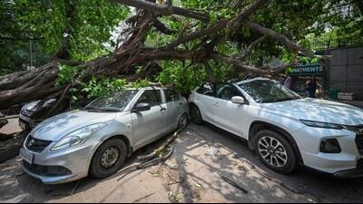 Officials said QRTs will reduce response time to emergencies, such as uprooted trees or blocked roads. (Sanchit Khanna/HT)