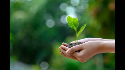 Through this ESG forum, SEAP wishes to create a sustainable platform for corporates and NGOs. (REPRESENTATIVE PIC) Through this ESG forum, SEAP wishes to create a sustainable platform for corporates and NGOs. (REPRESENTATIVE PIC)