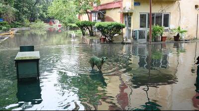 Waterlogged ITO, another hot spot. (Arvind Yadav/HT Photo) Waterlogged ITO, another hot spot. (Arvind Yadav/HT Photo)