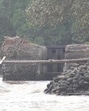 A breached bund in a khazan land area in Goa. (HT File Photo) A breached bund in a khazan land area in Goa. (HT File Photo)