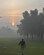 A view of the Shanti Van in New Delhi. (Raj K Raj/ HT Photo)