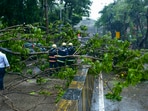 Fire brigade personnel clear a tree that  fell on a road in Patel Hindamata area amid heavy rainfall, in Mumbai, Monday, May 26, 2025. 