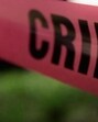 The incident occurred between 6:45 pm and 7:15 pm on May 25 near Yewale farmhouse, where a group of 15 tourists from Ratnagiri was staying. (REPRESENTATIVE PIC)