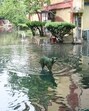 Waterlogged ITO, another hot spot. (Arvind Yadav/HT Photo) Waterlogged ITO, another hot spot. (Arvind Yadav/HT Photo)