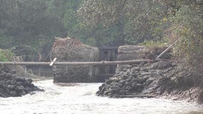 A breached bund in a khazan land area in Goa. (HT File Photo) A breached bund in a khazan land area in Goa. (HT File Photo)