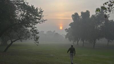 A view of the Shanti Van in New Delhi. (Raj K Raj/ HT Photo) A view of the Shanti Van in New Delhi. (Raj K Raj/ HT Photo)