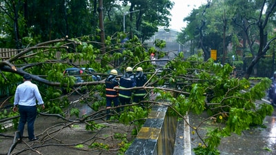 Fire brigade personnel clear a tree that fell on a road in Patel Hindamata area amid heavy rainfall, in Mumbai, Monday, May 26, 2025. (PTI) Fire brigade personnel clear a tree that fell on a road in Patel Hindamata area amid heavy rainfall, in Mumbai, Monday, May 26, 2025. (PTI)