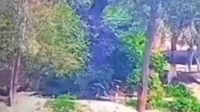 The footage, shared by the BSF, captures a moment at 1 minute and 9 seconds where Pakistani soldiers are seen escaping after hearing Indian strikes near their posts. (Source: BSF) The footage, shared by the BSF, captures a moment at 1 minute and 9 seconds where Pakistani soldiers are seen escaping after hearing Indian strikes near their posts. (Source: BSF)