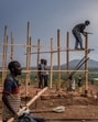 Nature-based solutions not only bolster biodiversity but also provide natural buffers against the climate crisis. (AFP)