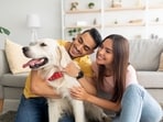 The biggest game changer in relationships is turning towards your partner for bids for connection. The biggest game changer in relationships is turning towards your partner for bids for connection.