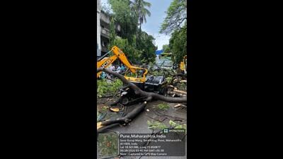 A 76-year-old woman died after a tree collapsed on the autorickshaw she was travelling in near Neelayam Talkies. (HT)