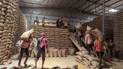 Labourers stack sacks of wheat in a warehouse in Madhya Pradesh. (REUTERS FILE) Labourers stack sacks of wheat in a warehouse in Madhya Pradesh. (REUTERS FILE)