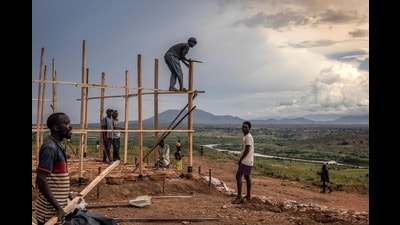 Nature-based solutions not only bolster biodiversity but also provide natural buffers against the climate crisis. (AFP)