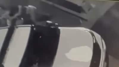 2 female Secret Service officers brawl outside Barack Obama’s home in shocking viral clip (@susancrabtree/X) 2 female Secret Service officers brawl outside Barack Obama’s home in shocking viral clip (@susancrabtree/X)
