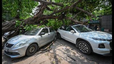 Storms this month left at least 12 people dead due to house collapses, electrocution, and uprooted trees in Delhi and NCR. (HT PHOTO) Storms this month left at least 12 people dead due to house collapses, electrocution, and uprooted trees in Delhi and NCR. (HT PHOTO)