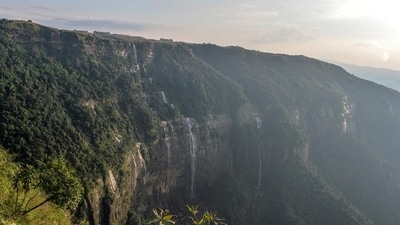 Drones and K9 units were employed to find the couple which had gone missing in Meghalaya near Sohra (File) Drones and K9 units were employed to find the couple which had gone missing in Meghalaya near Sohra (File)