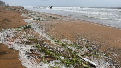 The plastic nurdles washed ashore on Tuesday in several coastal areas of Thiruvananthapuram, including Kochu Veli beach (HT Photo) The plastic nurdles washed ashore on Tuesday in several coastal areas of Thiruvananthapuram, including Kochu Veli beach (HT Photo)