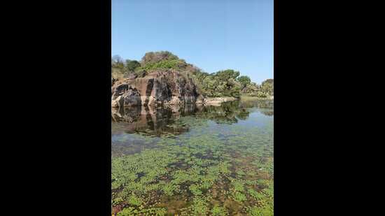 Gogunda’s Kanji Ka Guda --- how wetlands, pastures, hills, small streams and sacred groves are carefully managed as “common” lands spanning around 400 hectares of Aravalli landscape (Jayashree Nandi)