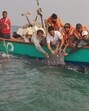 The whale shark was satellite-tagged and released by the Wildlife Trust of India (WTI) in a collaborative operation with the Gujarat Forest Department. (WTI Photo) The whale shark was satellite-tagged and released by the Wildlife Trust of India (WTI) in a collaborative operation with the Gujarat Forest Department. (WTI Photo)