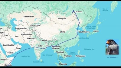 Chiuluan2 covered approximately 6,000 km in 20 days from Manipur. (WII) Chiuluan2 covered approximately 6,000 km in 20 days from Manipur. (WII)