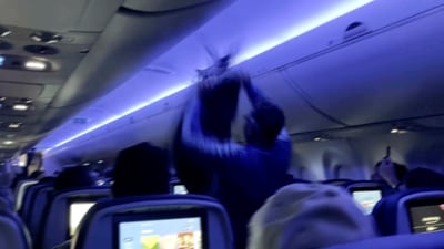 This image taken from video provided by TMX shows a passenger attempting to catch a pigeon flying inside the cabin of a commercial plane, in Minneapolis, Saturday, May 24, 2025. (TMX via AP) (AP) This image taken from video provided by TMX shows a passenger attempting to catch a pigeon flying inside the cabin of a commercial plane, in Minneapolis, Saturday, May 24, 2025. (TMX via AP) (AP)