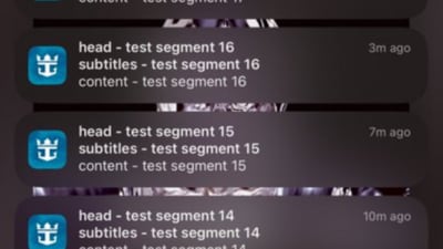 Royal Caribbean customers complained that they received a series of ‘test segment’ notifications (X) Royal Caribbean customers complained that they received a series of ‘test segment’ notifications (X)