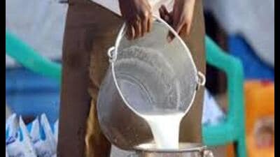 Uttar Pradesh’s top five districts in milk production in 2023-2024 are Bulandshahr, Meerut, Agra, Aligarh and Azamgarh. (For Representation)