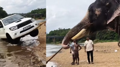 The incident reportedly occurred in Thiruvegappura. (Instagram/@saidkoya90) The incident reportedly occurred in Thiruvegappura. (Instagram/@saidkoya90)